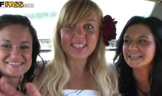 Компания друзей устраивает в загородном лесу порно с разговорами